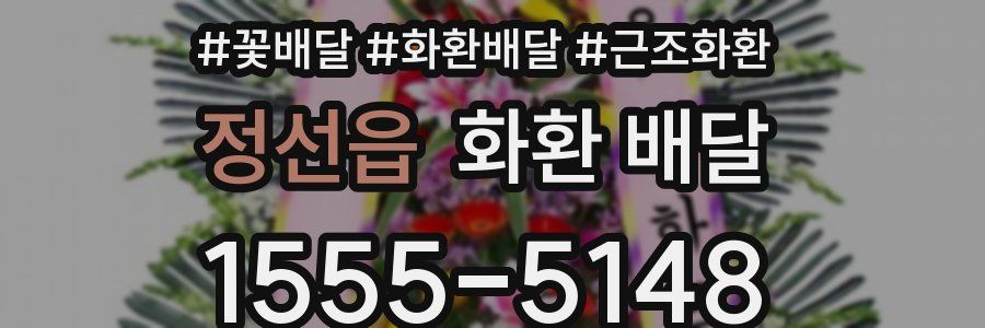 정선읍 화환 배달