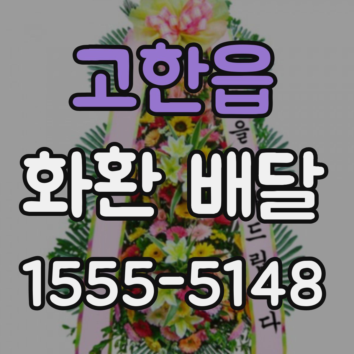 고한읍 화환 배달