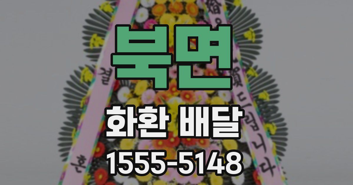 북면 화환 배달