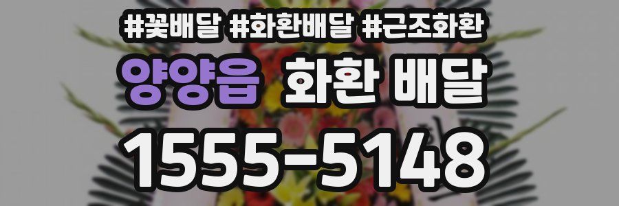 양양읍 화환 배달