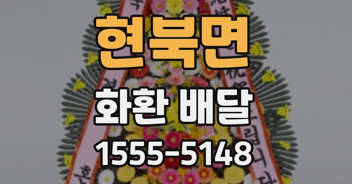 현북면 화환 배달