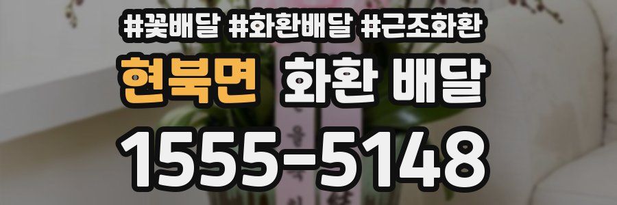 현북면 화환 배달