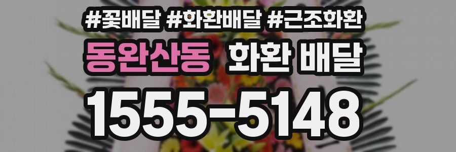 동완산동 화환 배달