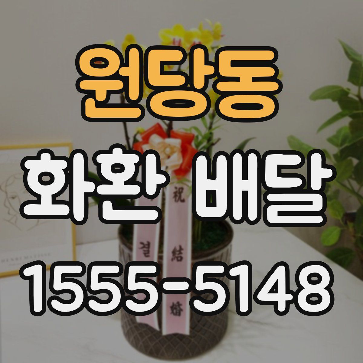 원당동 화환 배달