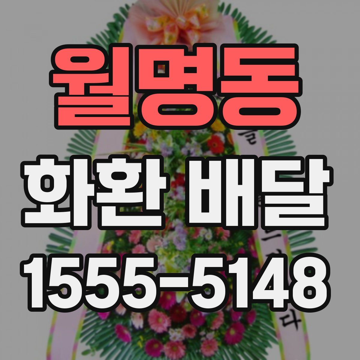 월명동 화환 배달