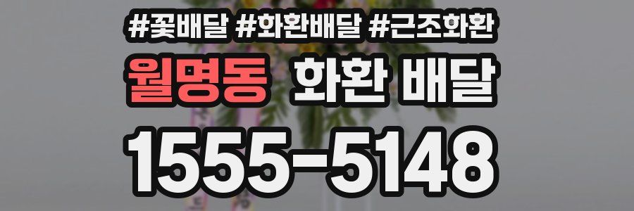 월명동 화환 배달