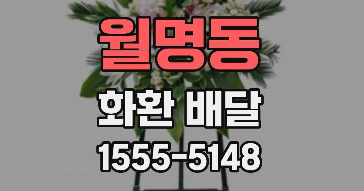 월명동 화환 배달