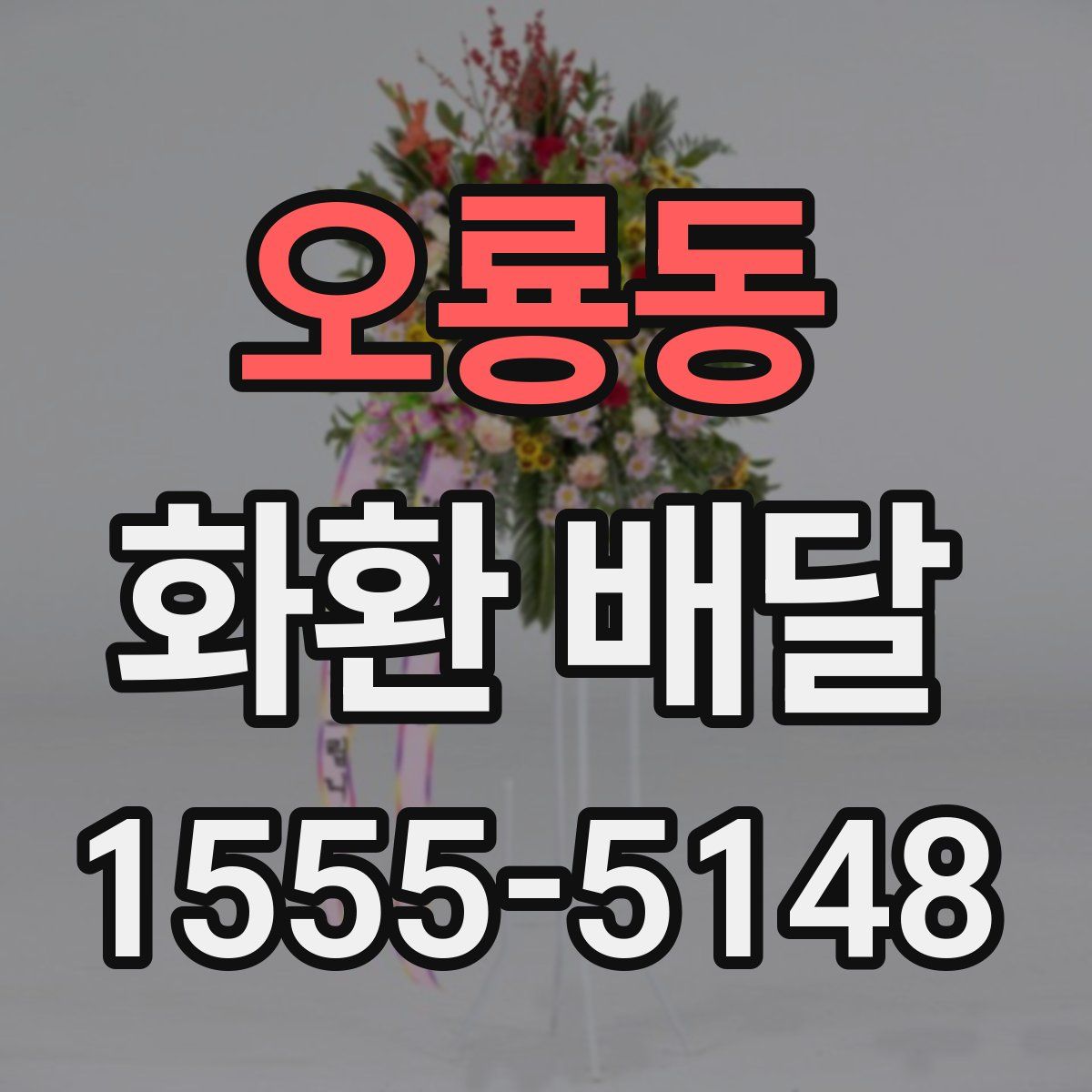 오룡동 화환 배달