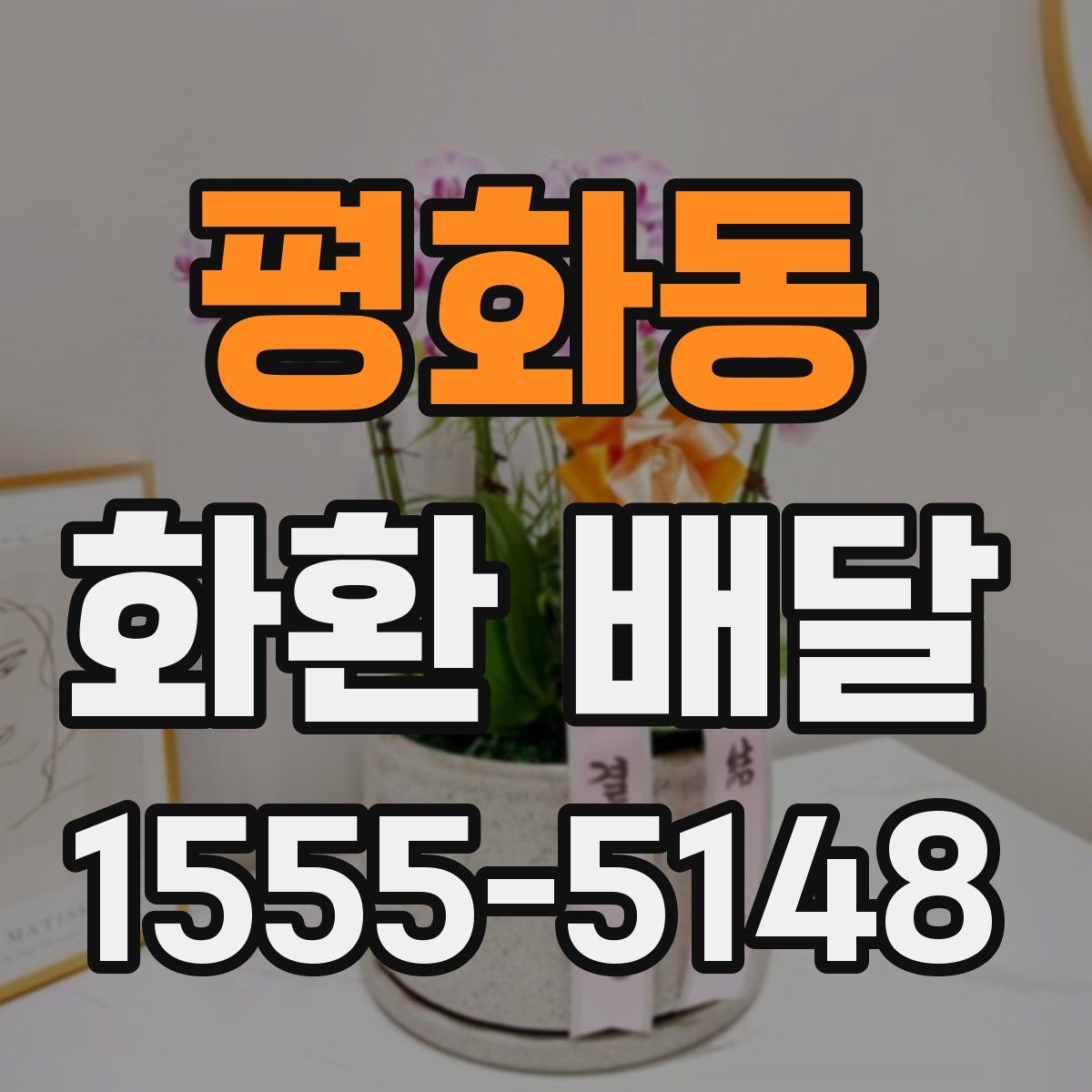 평화동 화환 배달