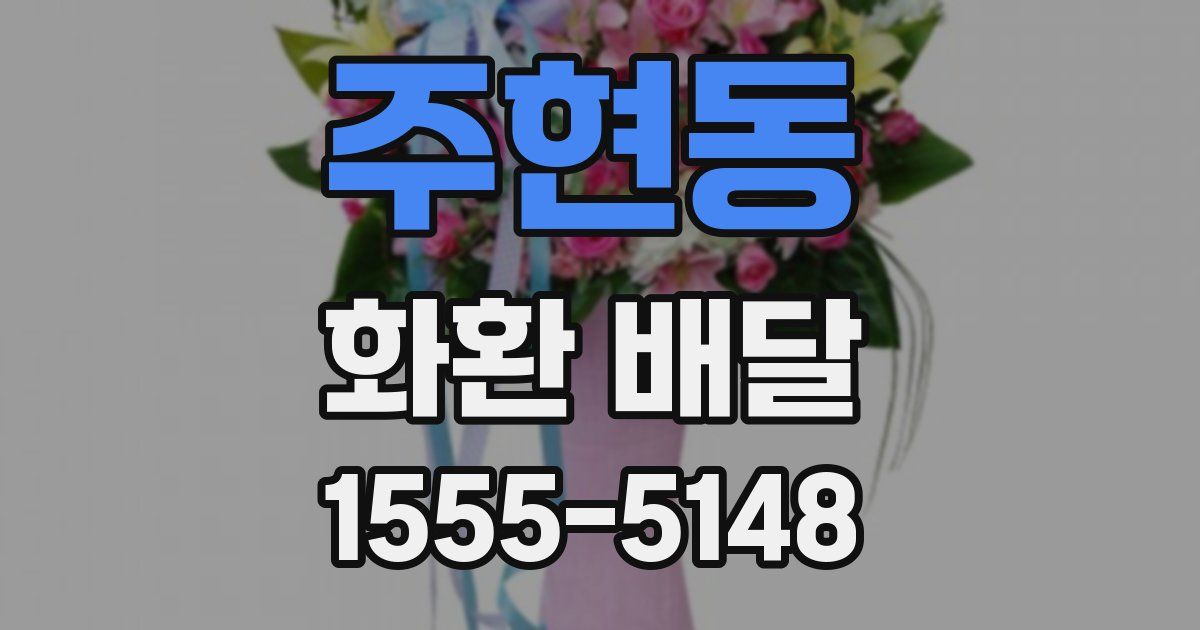 주현동 화환 배달