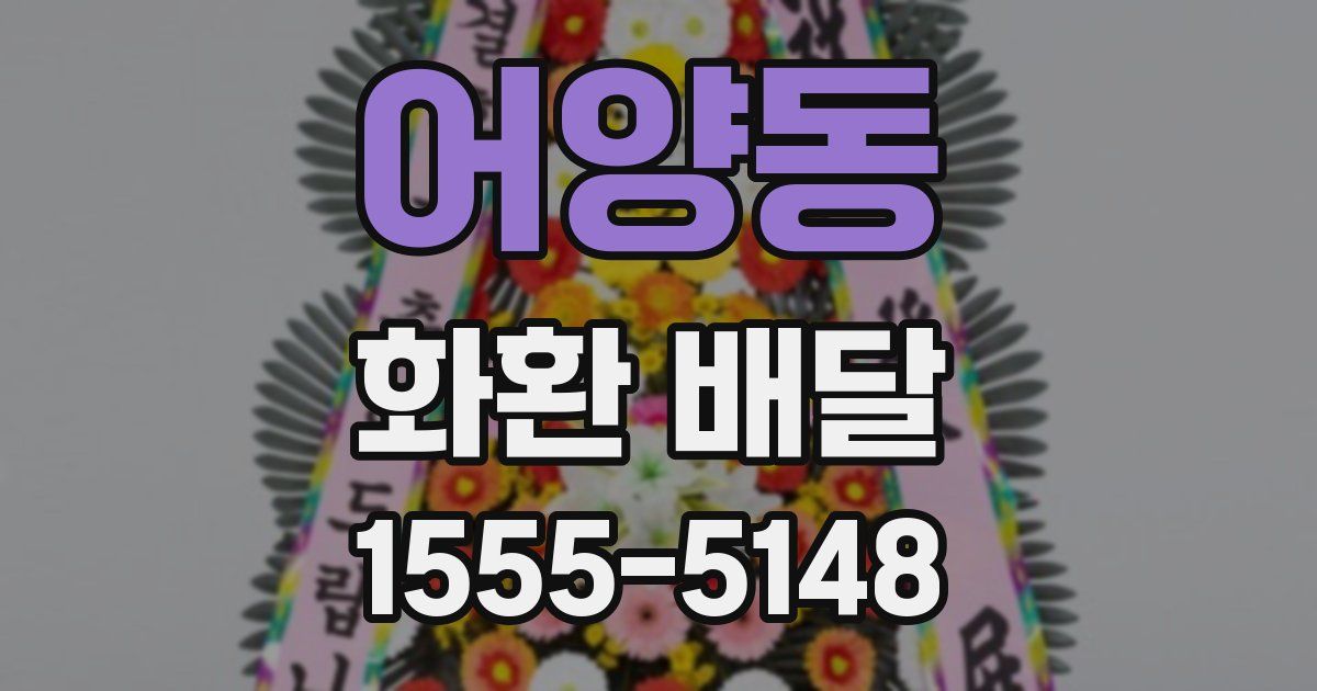 어양동 화환 배달
