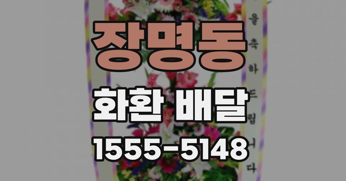 장명동 화환 배달
