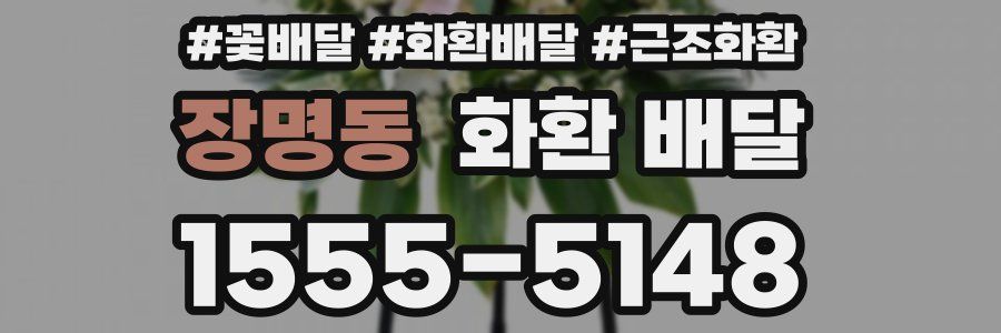 장명동 화환 배달