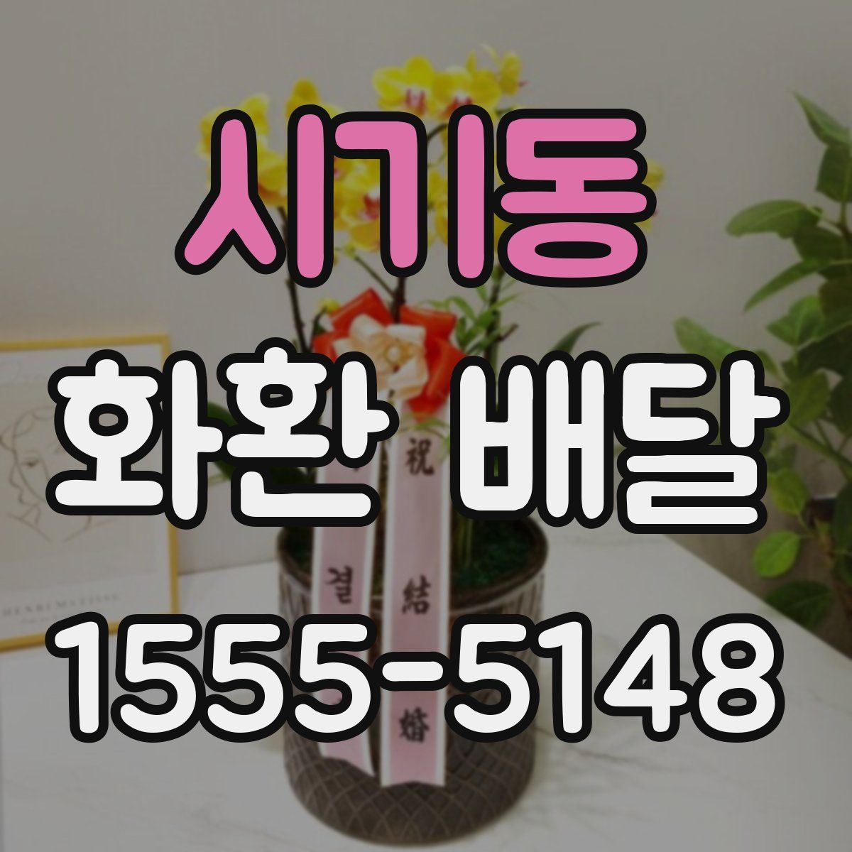 시기동 화환 배달
