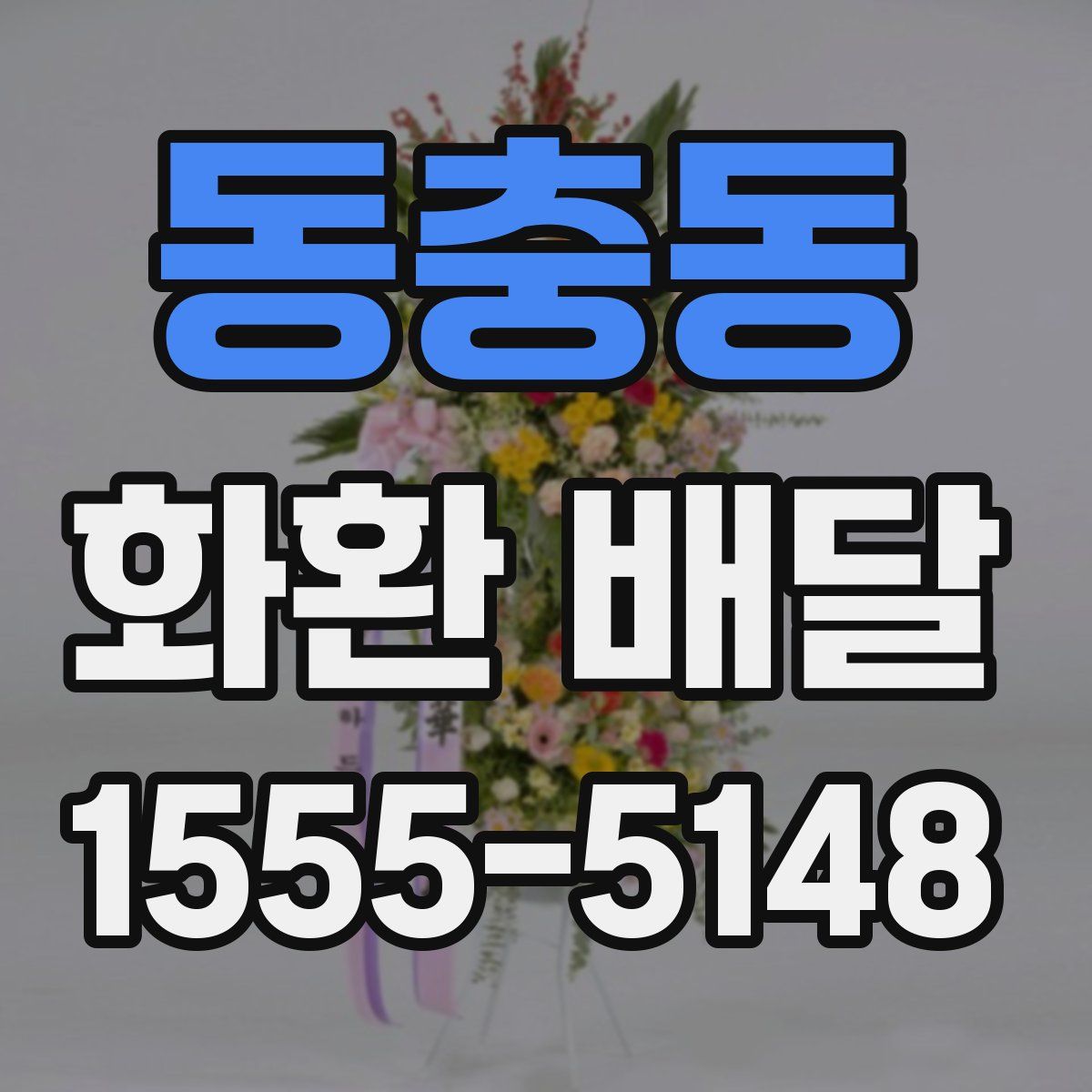 동충동 화환 배달