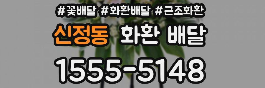 신정동 화환 배달