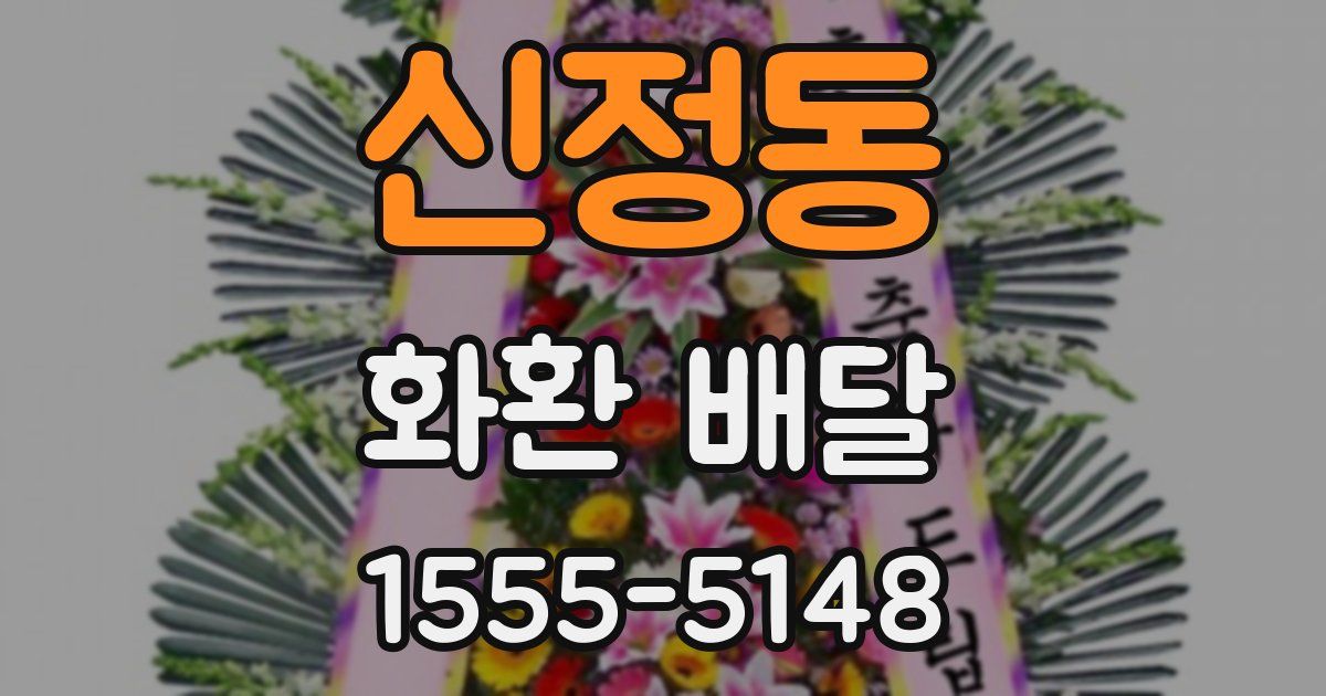신정동 화환 배달