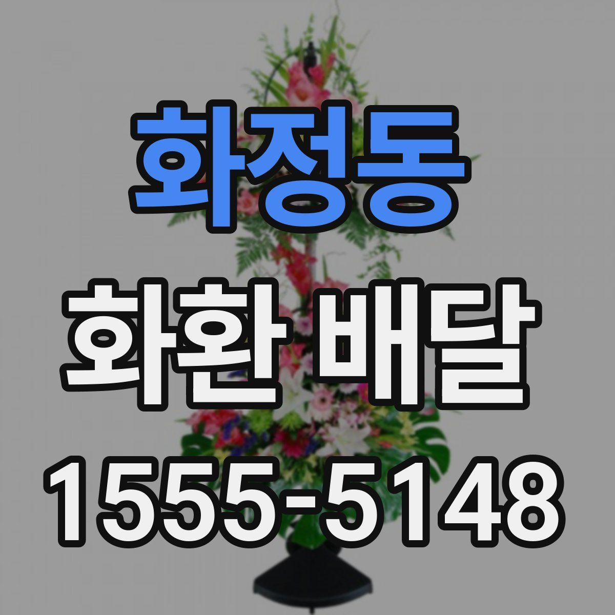 화정동 화환 배달