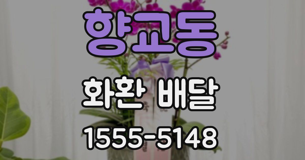 향교동 화환 배달