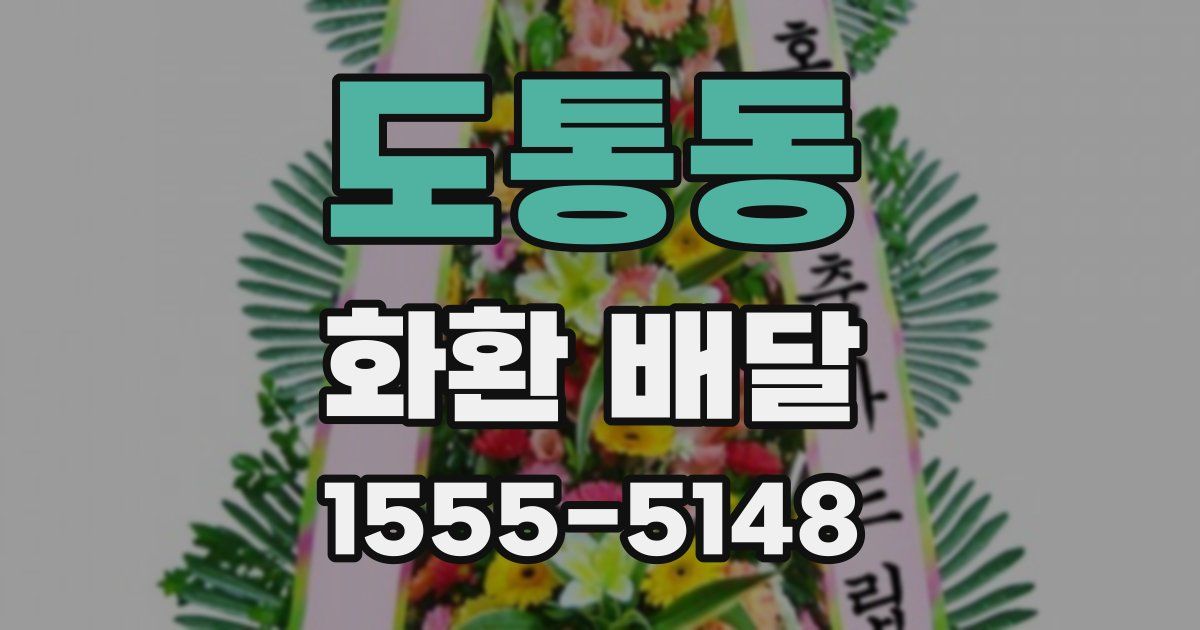 도통동 화환 배달