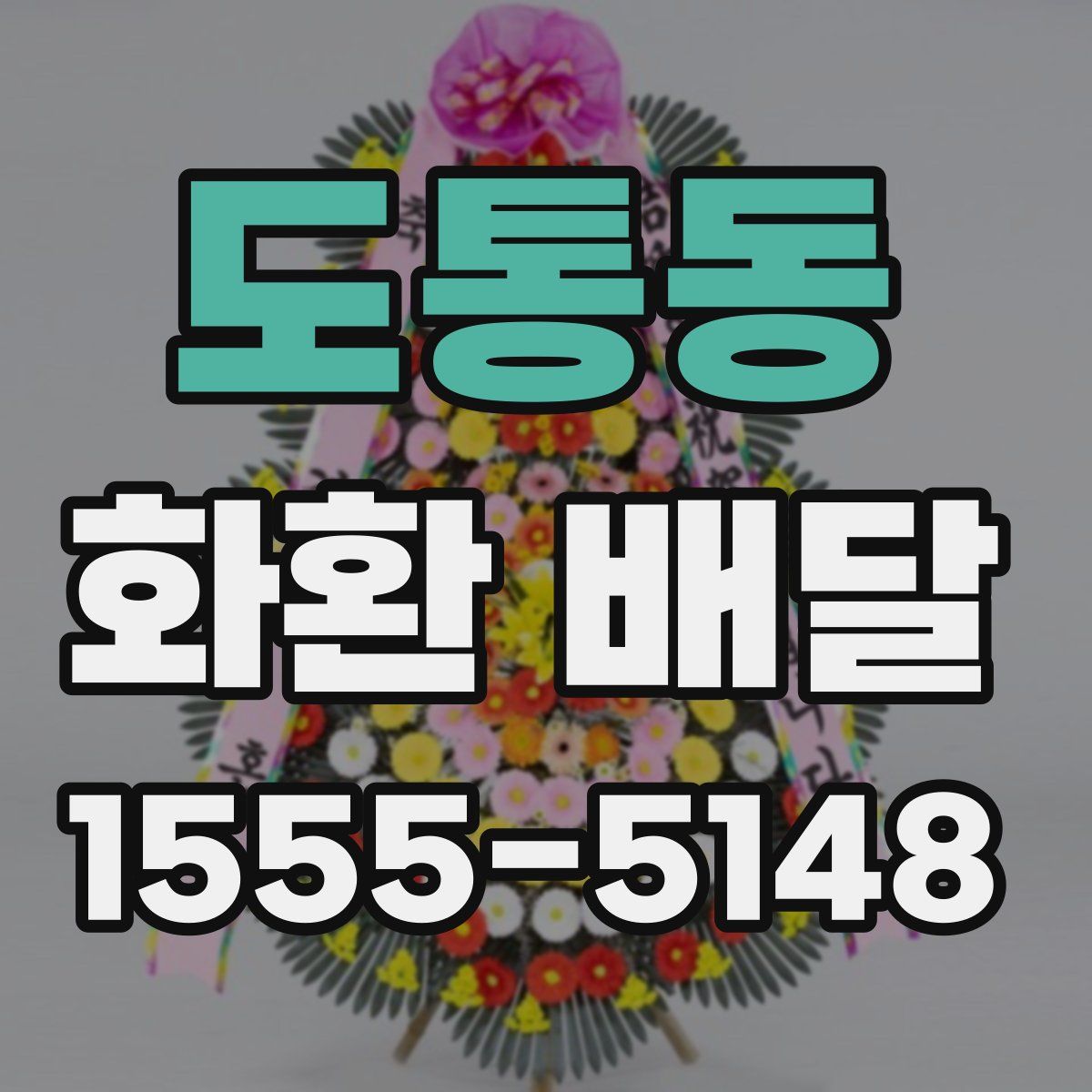 도통동 화환 배달