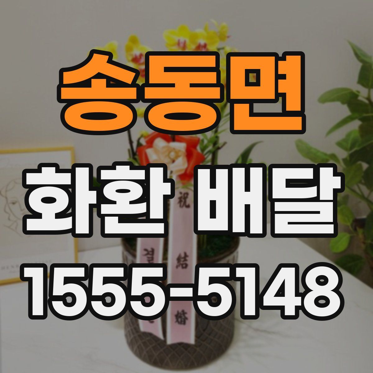 송동면 화환 배달