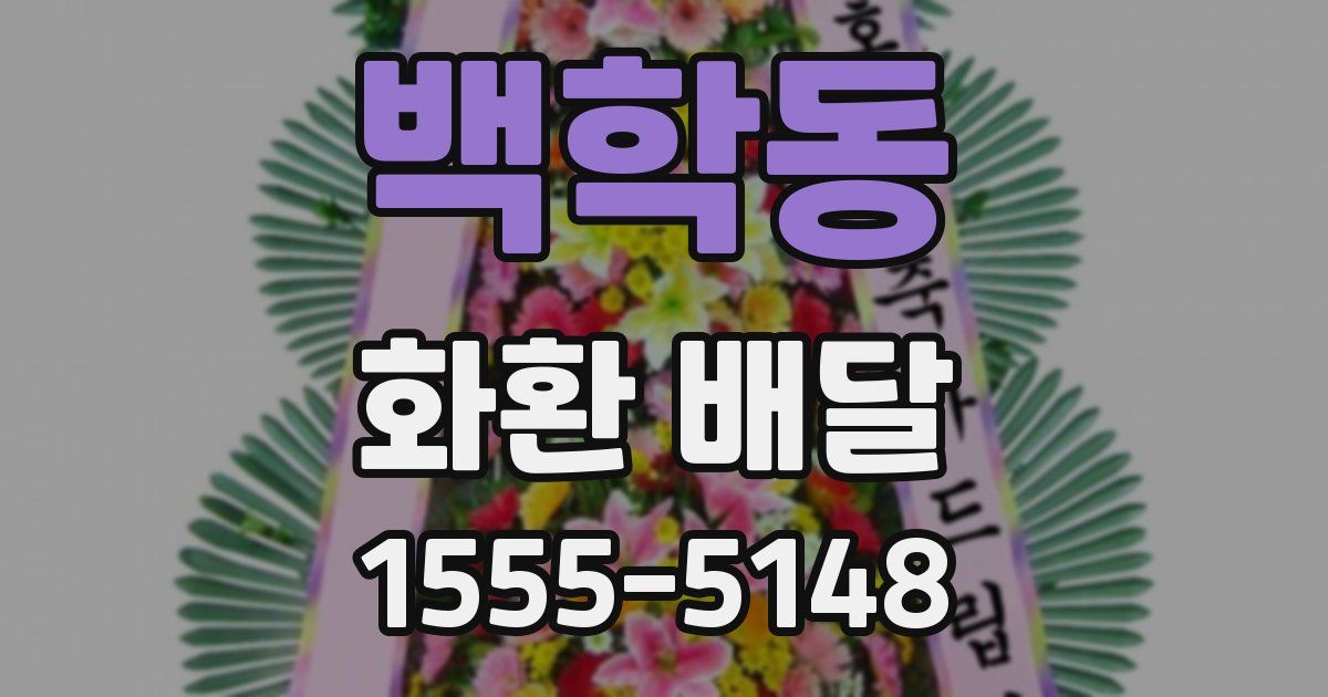 백학동 화환 배달