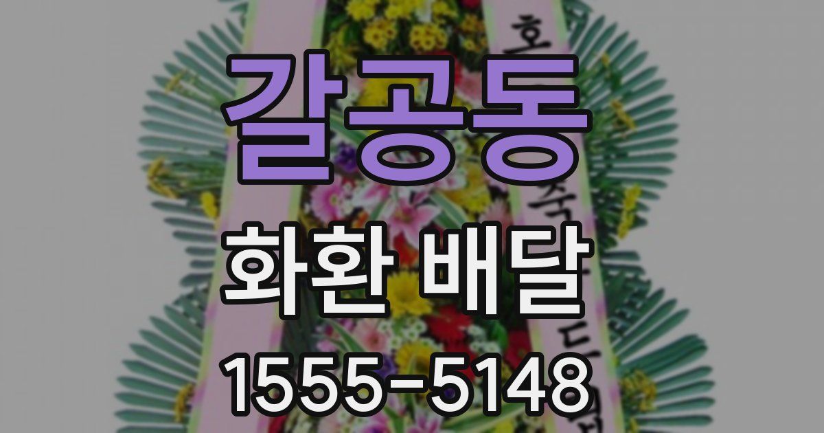 갈공동 화환 배달