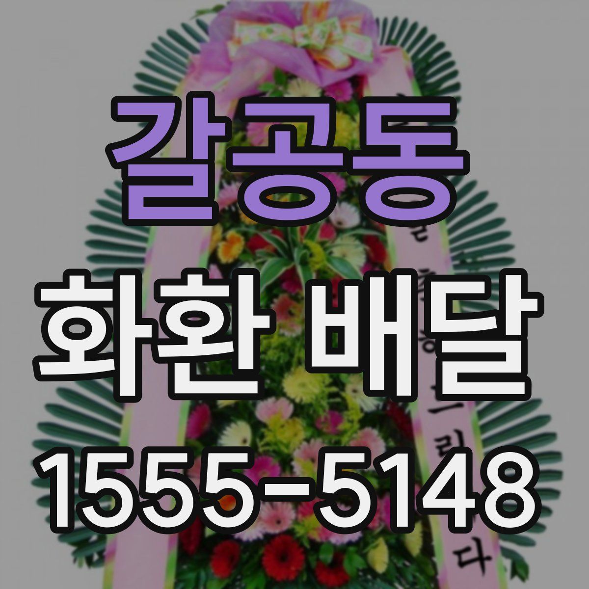 갈공동 화환 배달