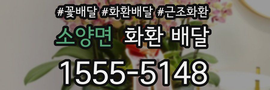 소양면 화환 배달