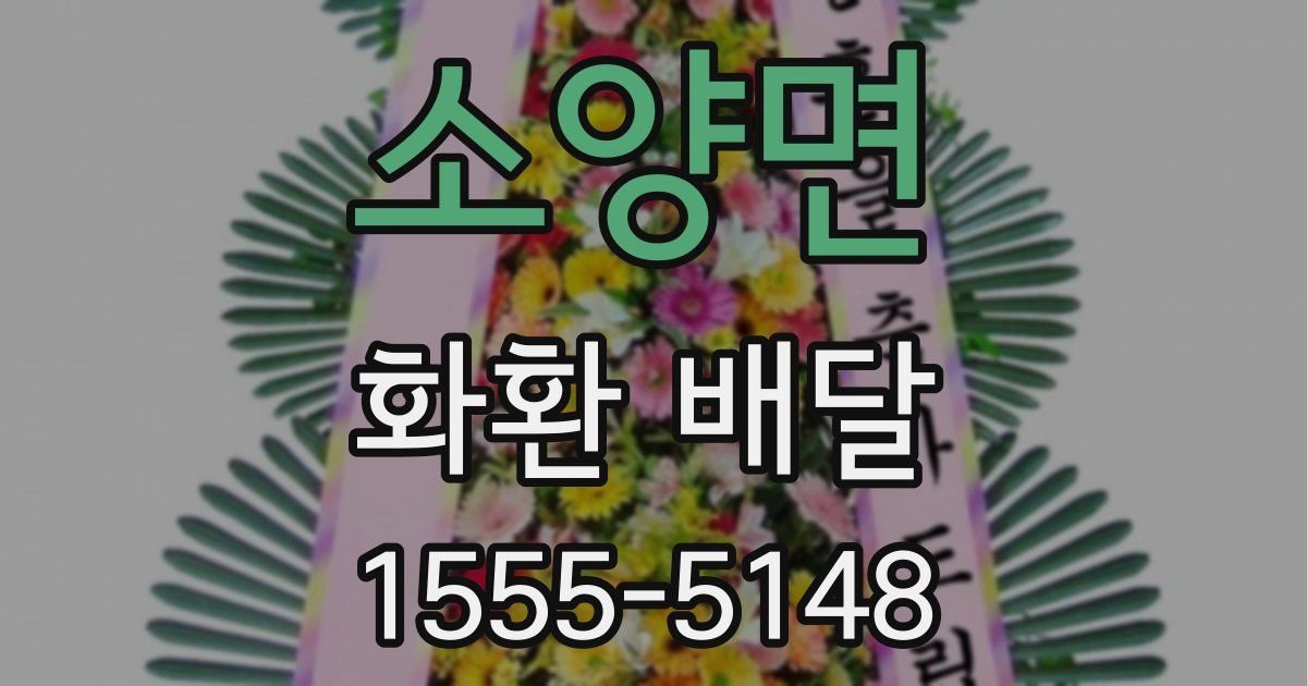 소양면 화환 배달