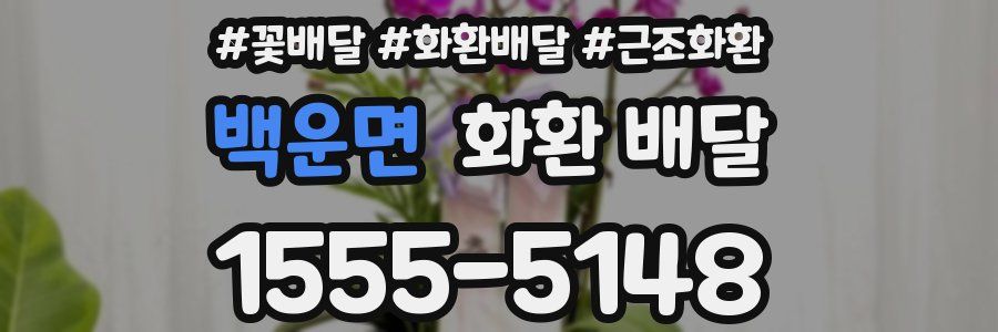백운면 화환 배달