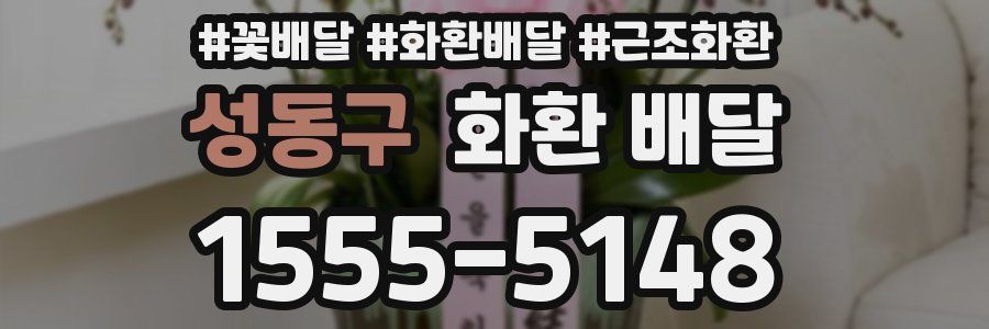 성동구 화환 배달