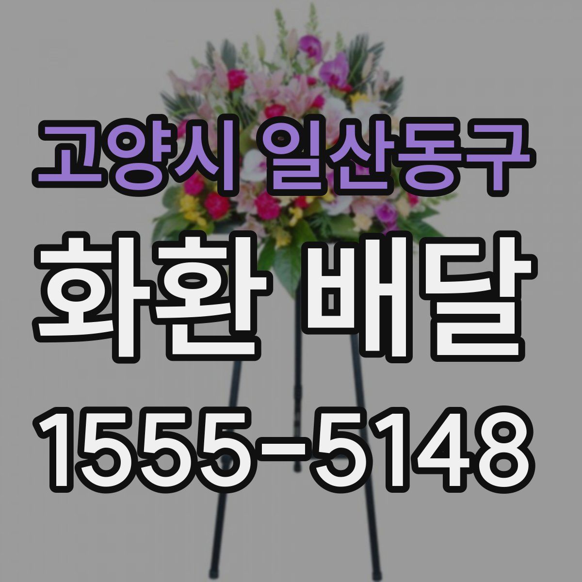 고양시 일산동구 화환 배달
