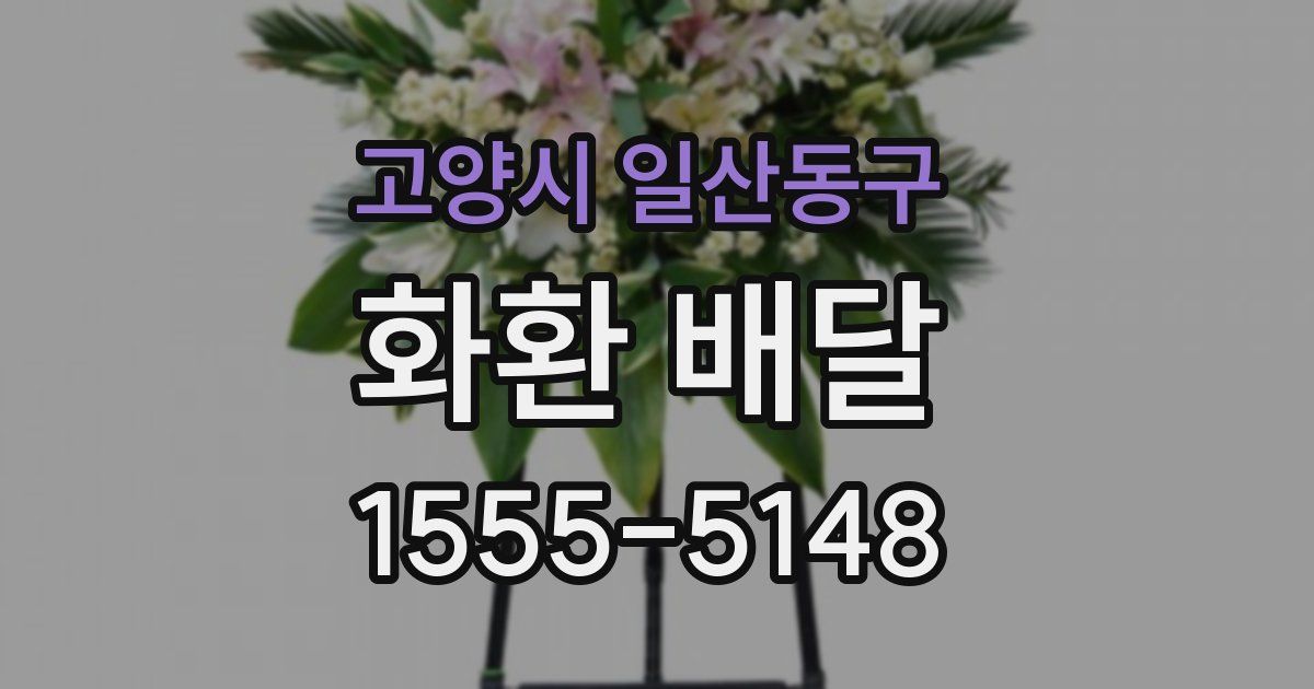 고양시 일산동구 화환 배달