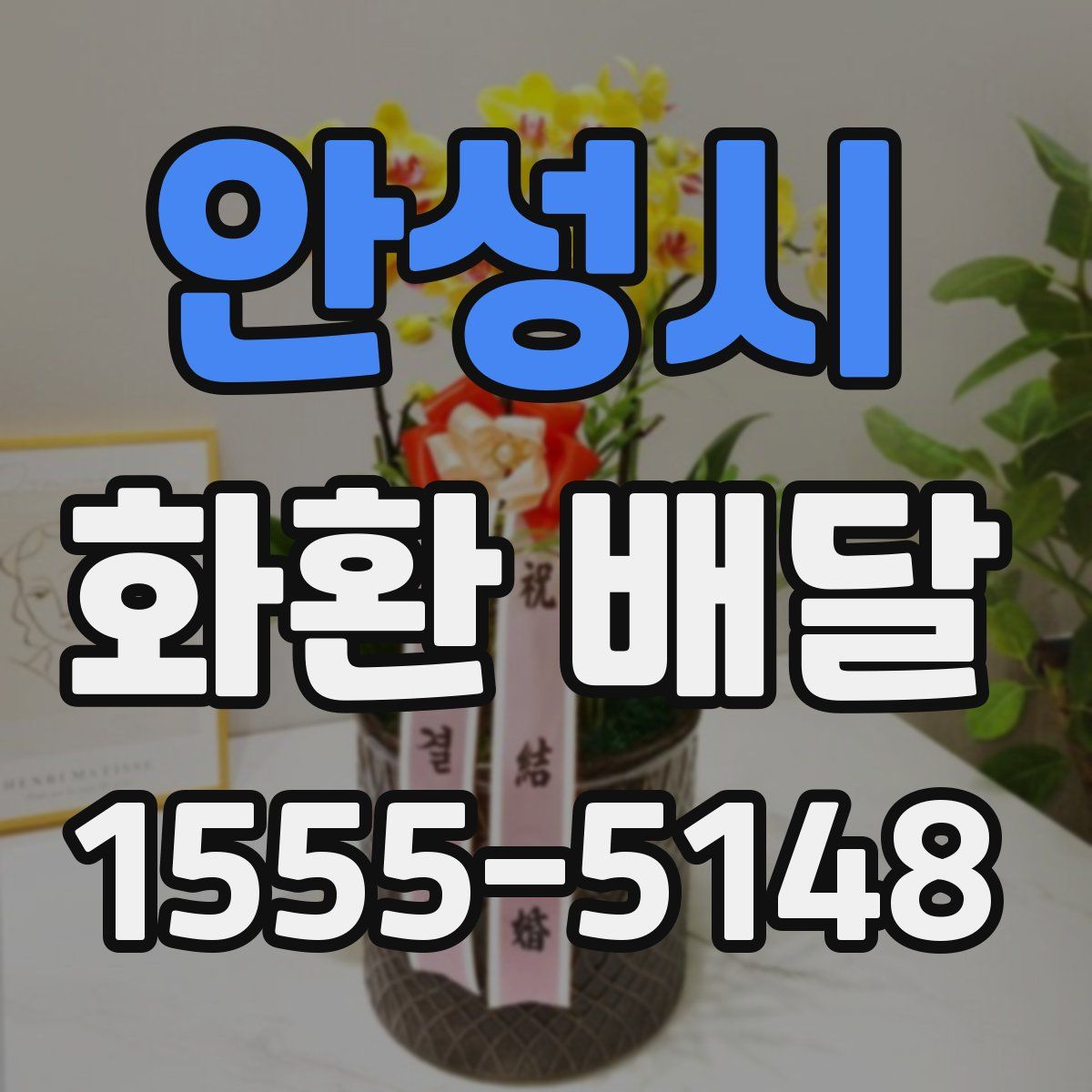 안성시 화환 배달