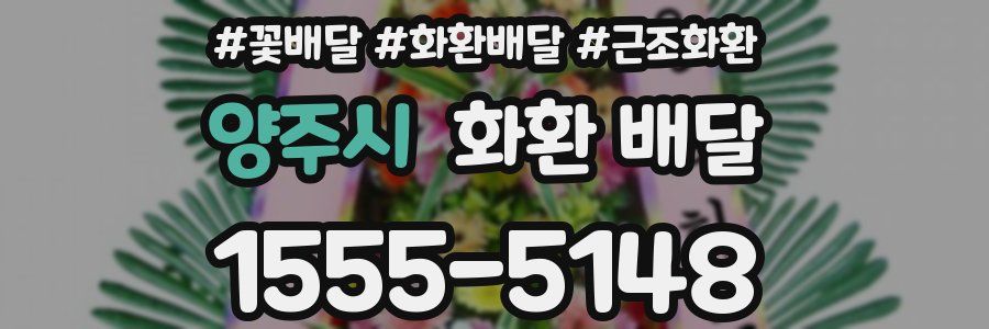 양주시 화환 배달
