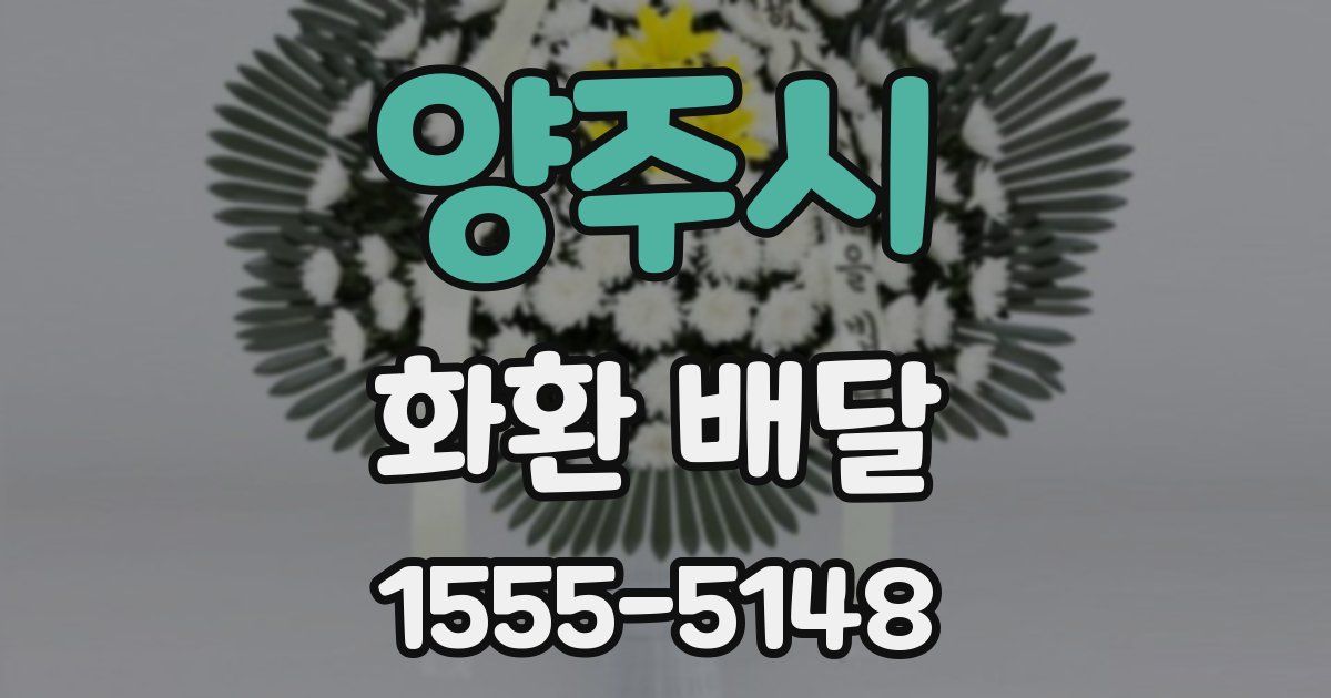 양주시 화환 배달