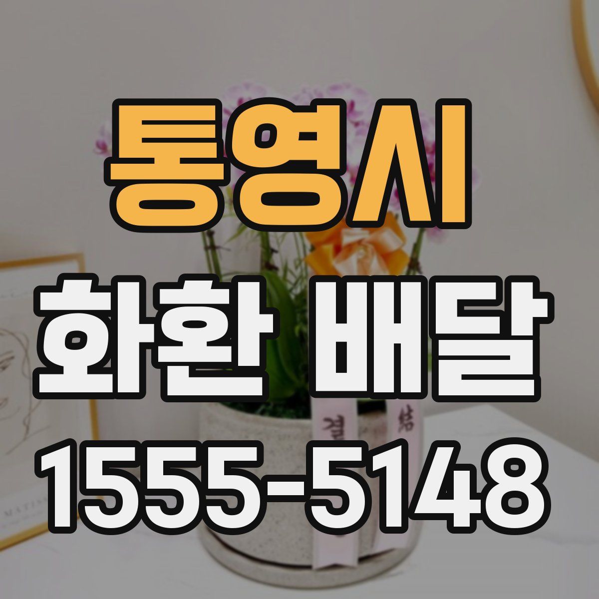 통영시 화환 배달