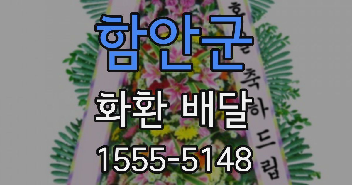 함안군 화환 배달