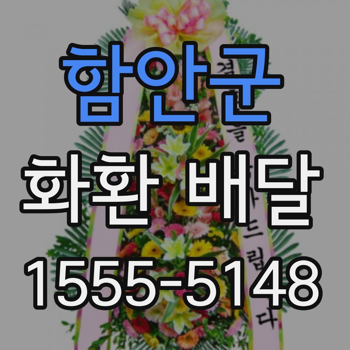 함안군 화환 배달