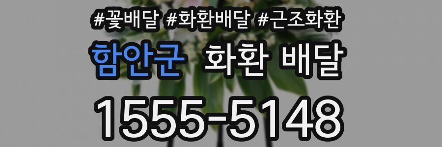 함안군 화환 배달