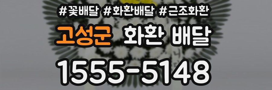 고성군 화환 배달