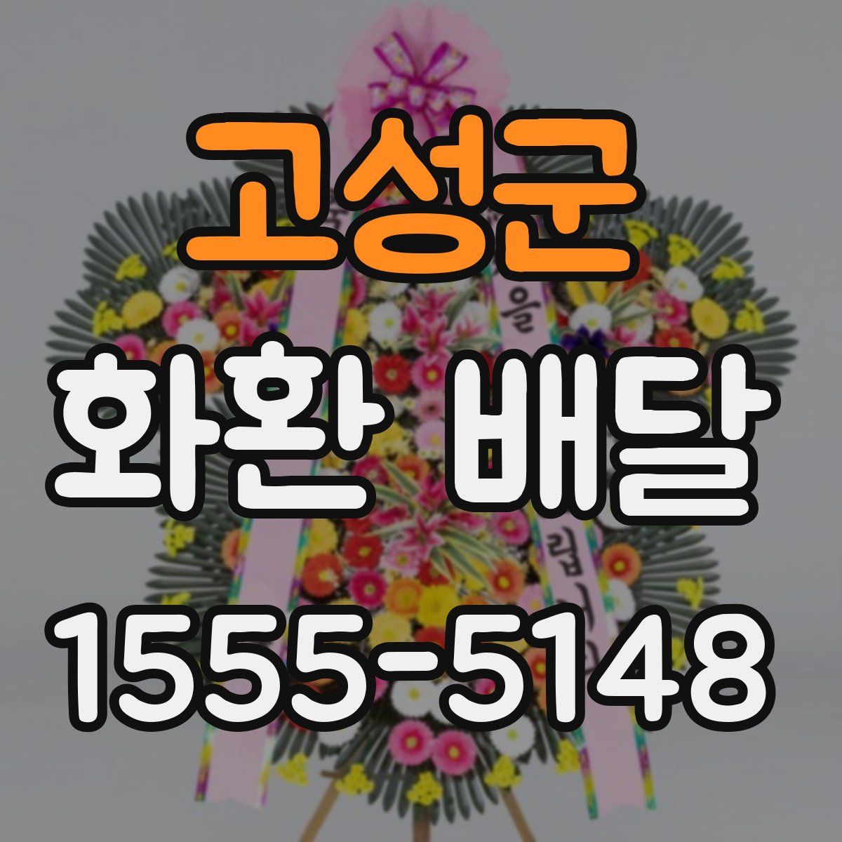 고성군 화환 배달
