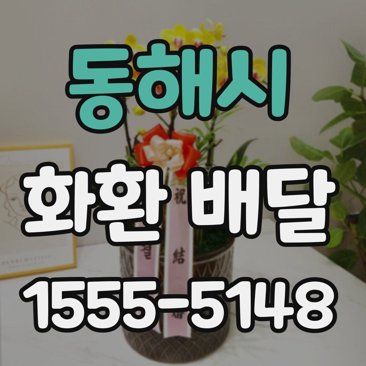 동해시 화환 배달