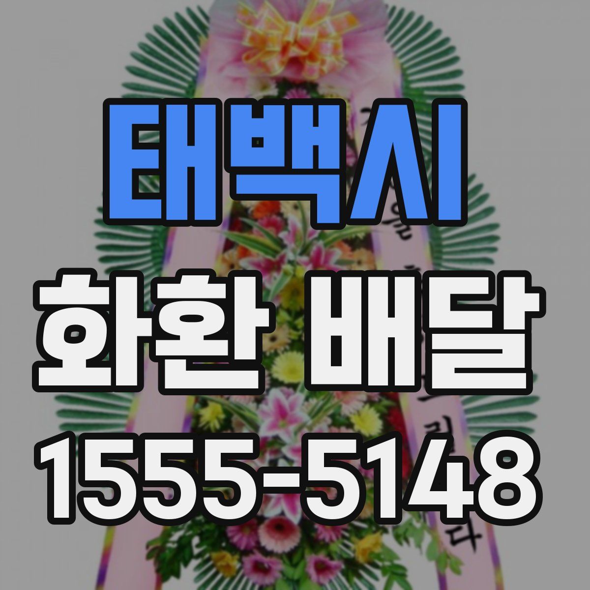 태백시 화환 배달