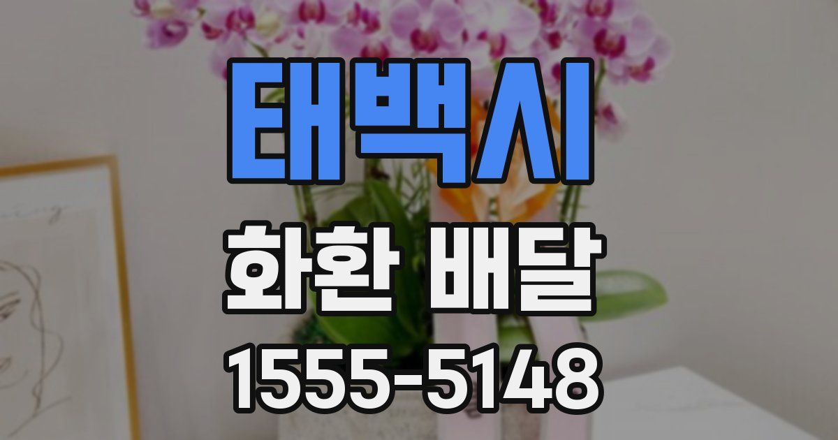 태백시 화환 배달