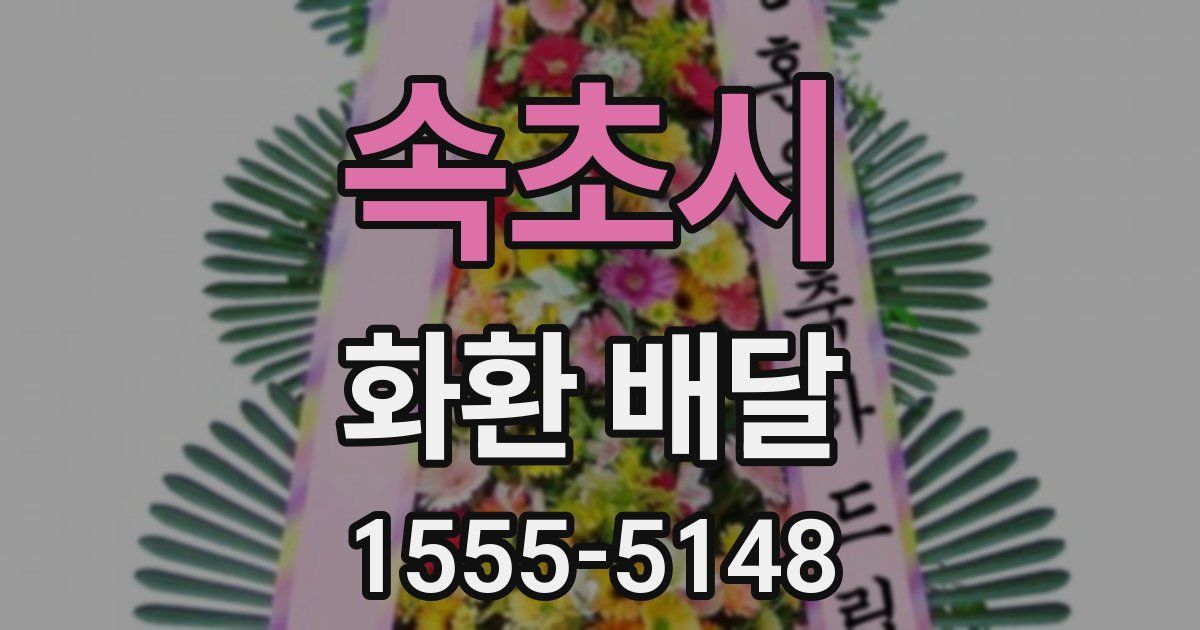 속초시 화환 배달