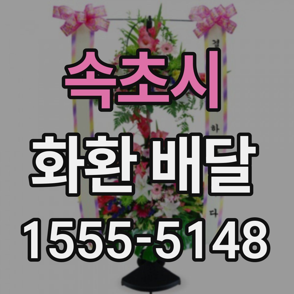 속초시 화환 배달