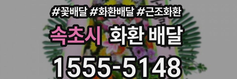 속초시 화환 배달